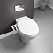 Edmonton Universal Bidet Toilet Seat Attachment  Feature Large Image