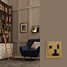 Ellis & Co 1-Gang Switched Socket with USB Ports Georgian Brass - Black