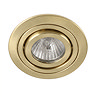 Ellis & Co IP22 Satin Brass Round Tiltable Downlight