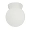 Endon - Opal Glass Sphere Bathroom Light Fitting - 60 watt - OS-60 Large Image