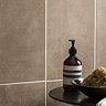 Eris Brown Concrete Effect Wall Tile - 250 x 500mm