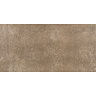 Eris Brown Porcelain Wall and Floor Tile - 250 x 500mm  Profile Large Image