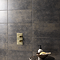 Eris Graphite Wall Tile - 250 x 500mm