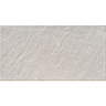 Esta Light Grey Stone Effect Wall Tiles - 316 x 600mm  Profile Large Image
