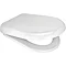 Euroshowers D ONE Soft-Close Toilet Seat with Quick Release - 86511 Large Image