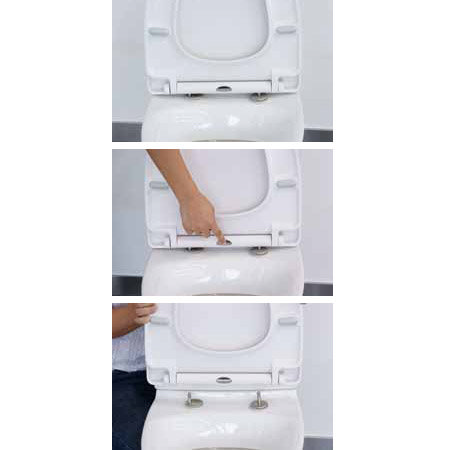 Euroshowers ONE Seat Long Elongated D-Shape Soft Close Toilet Seat - White - 88310 Profile Large Ima