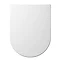 Euroshowers ONE Seat Long Elongated D-Shape Soft Close Toilet Seat - White - 88310 Large Image