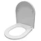 Euroshowers ONE Seat Short D-Shape Soft Close Toilet Seat - White - 88210 Feature Large Image