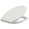 Euroshowers - ONE Seat Universal Soft Close Toilet Seat - White - 83311 Standard Large Image