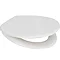 Euroshowers Pearl Anti-Bacterial Toilet Seat with Stainless Steel Hinges - 84210 Large Image