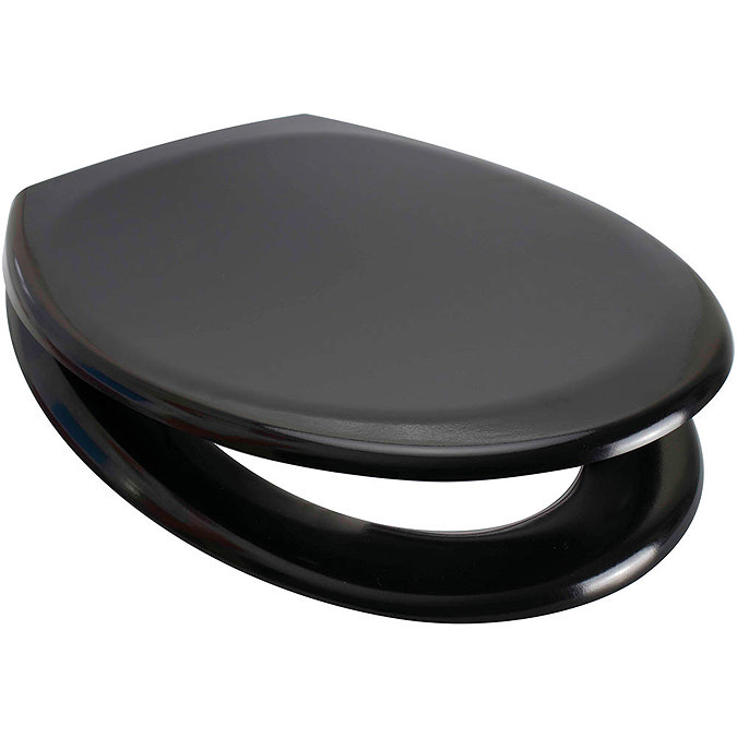 Euroshowers Rainbow Soft Close Toilet Seat - Black - 84490 Large Image