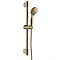 Euroshowers SlenderJet Slider Rail Kit - Gold Large Image