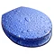 Euroshowers - Waterdrops Design Toilet Seat - Blue - 81122 Large Image