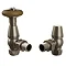 Fairport Angled Traditional Thermostatic Radiator Valves - Antique Brass Large Image