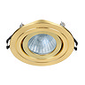 Forum IP65 Chrome Adjustable Downlight - Satin Brass