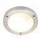 Forum Delphi Small Satin Nickel Flush Ceiling Light Fitting - SPA-34049-SATNIC Large Image