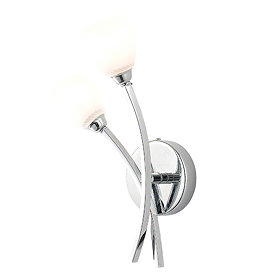 Forum Kate 2 Light Tulip Glass Wall Light - SPA-24693-CHR Large Image