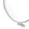 Foundry 910 x 500 Swivel Capsule Mirror Brushed Chrome