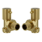 Foundry Angled Radiator Valves (Pair) Brushed Brass