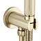 Foundry Brushed Brass Outlet Elbow with Parking Bracket, Flex and Handset