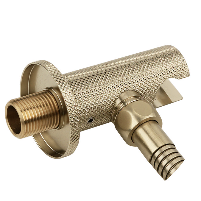 Foundry Brushed Brass Outlet Elbow with Parking Bracket, Flex and Handset