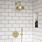Foundry Brushed Brass Outlet Elbow with Parking Bracket, Flex and Handset