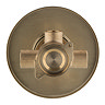 Foundry Round Concealed Shower Valve - Brushed Brass