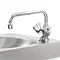 Franke F1000 Monobloc Mixer Tap for Janitorial Unit Large Image