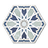 Galicia Blue Hexagon Patterned Wall and Floor Tiles - 200 x 240mm