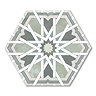 Galicia Sage Hexagon Patterned Wall and Floor Tiles - 200 x 240mm