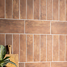 Garachico Matt Clay Terracotta Effect Wall & Floor Tiles - 150 x 300mm