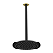 Gatsby Matt Black & Brushed Brass 200mm Shower Head with Ceiling Mounted Arm