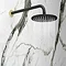 Gatsby Matt Black & Brushed Brass 200mm Shower Head & Fixed Wall Mounted Arm