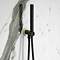 Gatsby Matt Black & Brushed Brass Round Outlet Elbow with Parking Bracket, Hose and Shower Handset