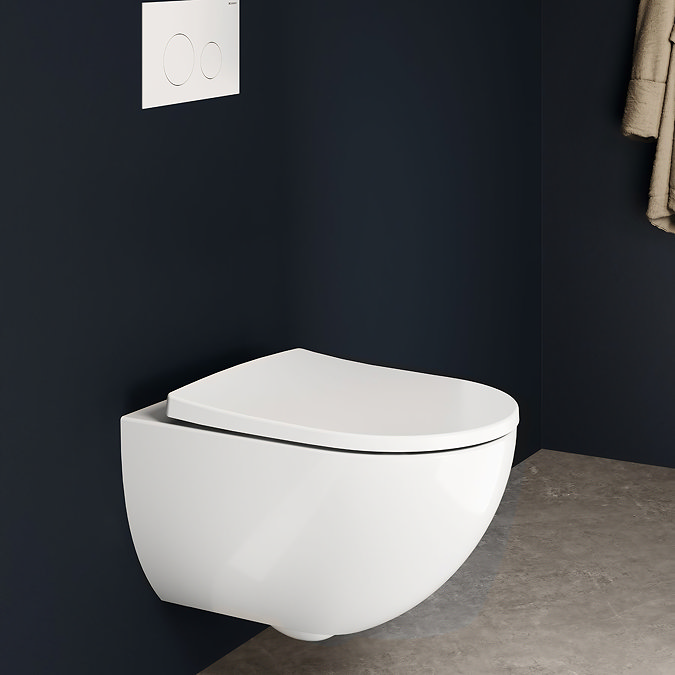 Geberit Aniara Rimless Wall Hung Pan & Soft Close Quick Release Seat