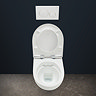 Geberit Aniara Rimless Wall Hung Pan & Soft Close Quick Release Seat