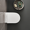 Geberit Aniara Rimless Wall Hung Pan & Soft Close Quick Release Seat