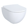 Geberit Aniara Rimless Wall Hung Pan & Soft Close Quick Release Seat