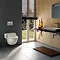 Geberit - AquaClean 5000 Plus Shower Soft Close Toilet Seat Standard Large Image