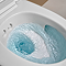 Geberit AquaClean Gloss Chrome Mera Classic Rimless Wall Hung Shower WC
