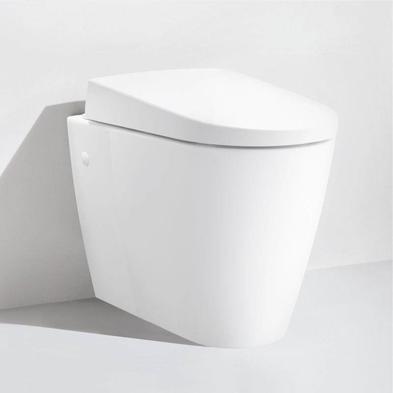 Geberit AquaClean Sela Back to Wall Shower WC & Soft Close Seat  In Bathroom Large Image