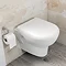 Geberit Duofix Wall Frame with Zentrum Wall Hung Pan & Sigma 01 Flush Plate Profile Large Image