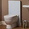 Geberit - Monolith WC Unit & Cistern for Floorstanding WCs - White/Aluminium Standard Large Image