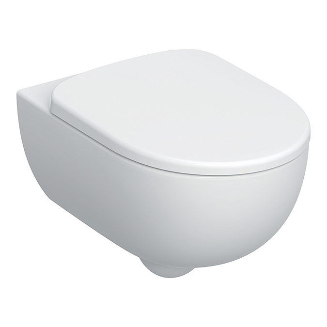 Geberit Selnova Concealed WC Cistern with Wall Hung Frame + Toilet