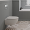 Geberit Rimless 4-in-1 Pack, Frame + Flush Plate + Pan & Soft Close Seat