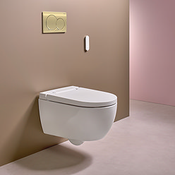 Geberit Smart Japanese Bidet Toilet 4-in-1 Wall-Hung Pack with Brass Flush