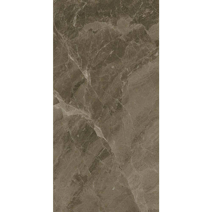 Gio Brown Gloss Marble Effect Wall Tiles - 30 x 60cm  In Bathroom Large Image