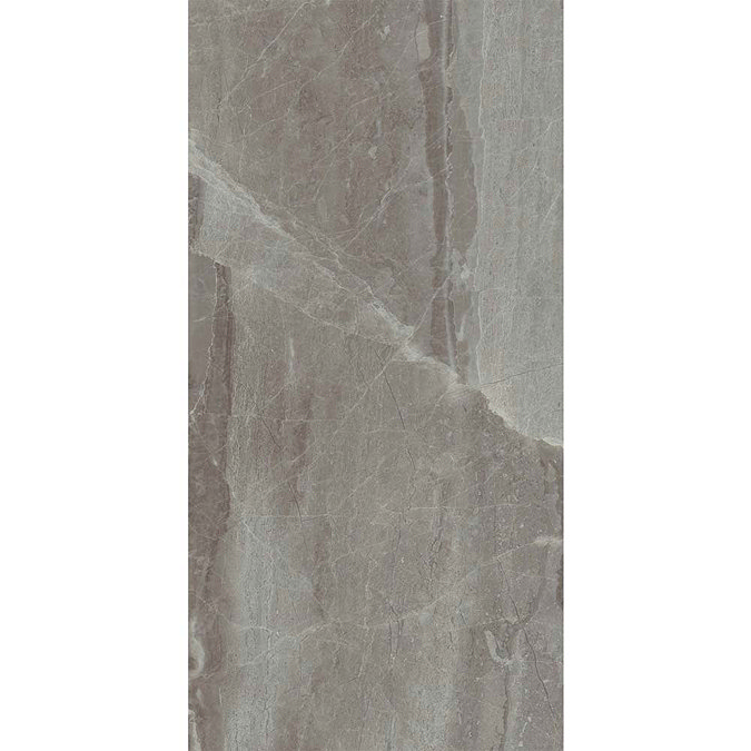 Gio Grey Gloss Marble Effect Wall Tiles - 30 x 60cm  Feature Large Image
