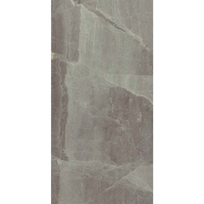 Gio Grey Gloss Marble Effect Wall Tiles - 30 x 60cm  Newest Large Image