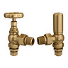 Chatsworth Traditional Daisy Wheel Angled Radiator Valves Brass